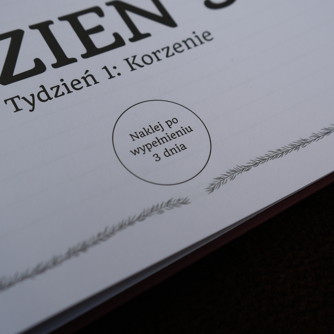 24 Historie do Odkrycia - Książkowy Kalendarz Adwentowy