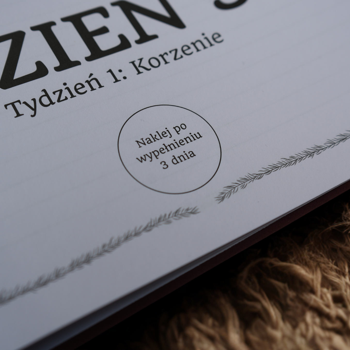 24 Historie do Odkrycia - Książkowy Kalendarz Adwentowy